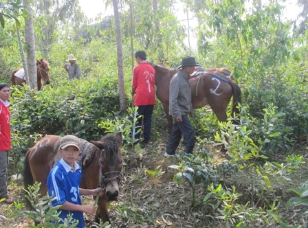 Tưng bừng ngày hội đua ngựa thồ ảnh 3